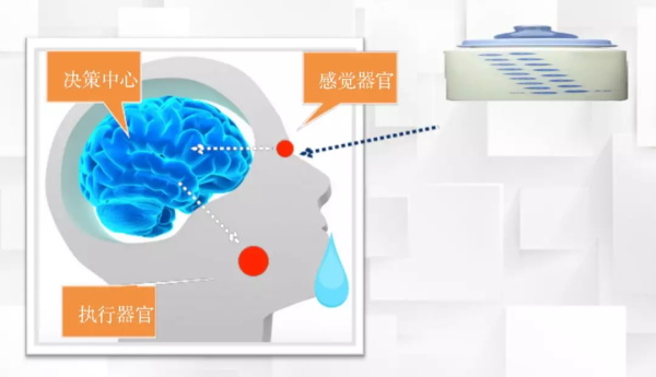 一節小學生也能聽懂的專業課：機器人和物聯網是怎么協同工作的？